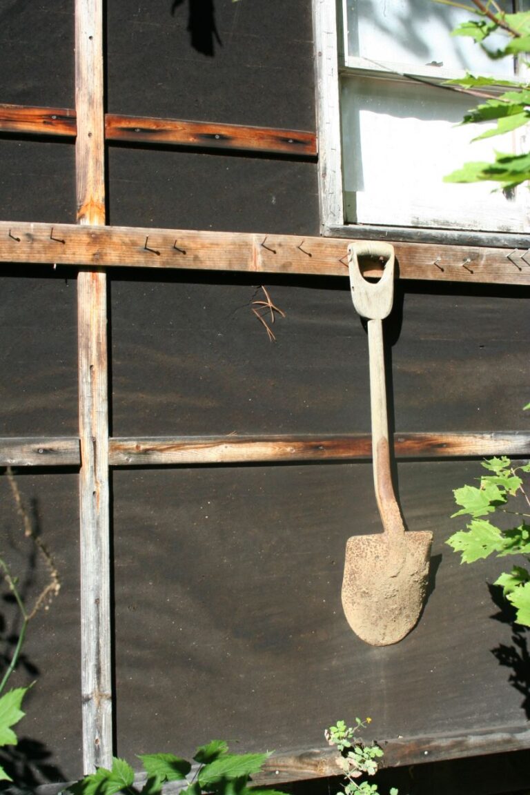 Shovel hanging on ladder against wooden shed wall.