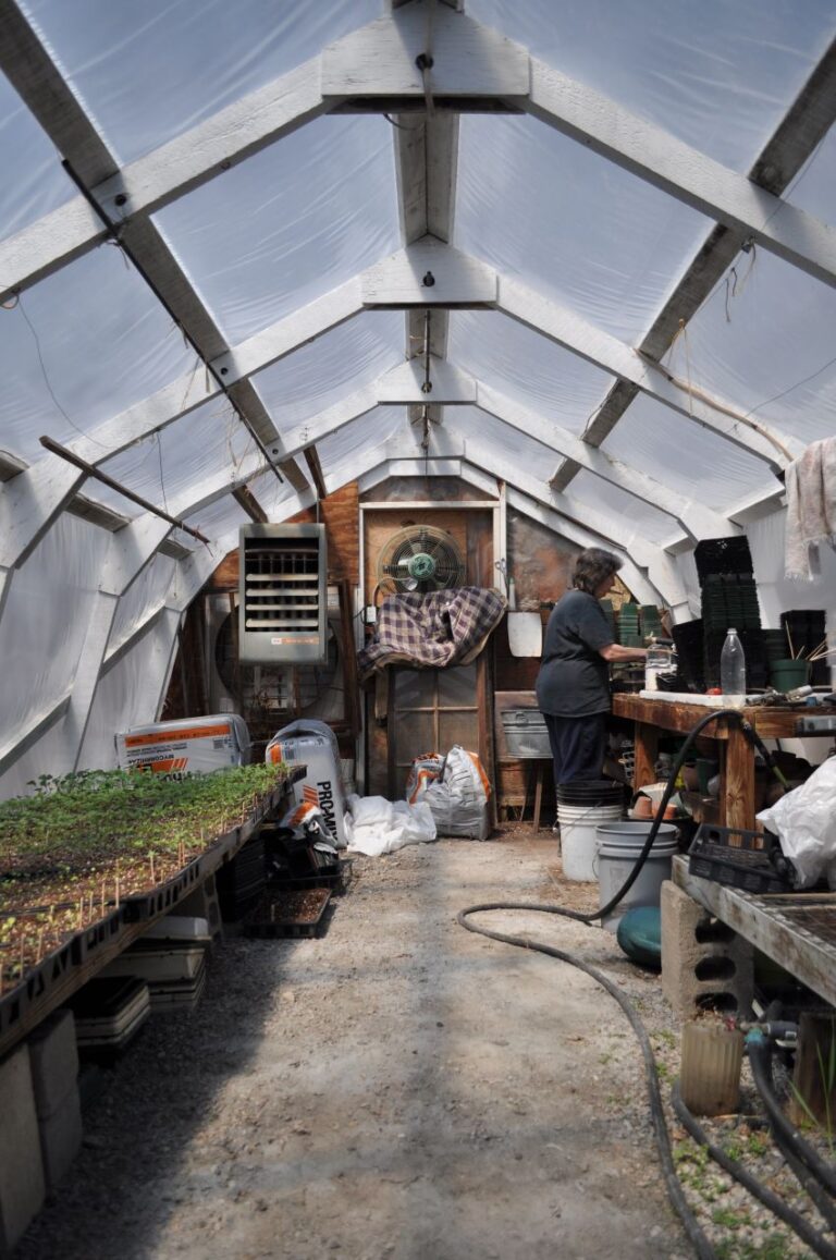 Person working in a busy greenhouse interior.