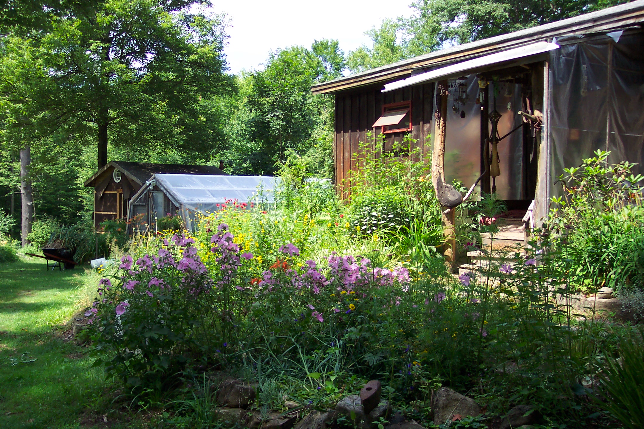 Rustic greenhouse amid blooming garden and trees.